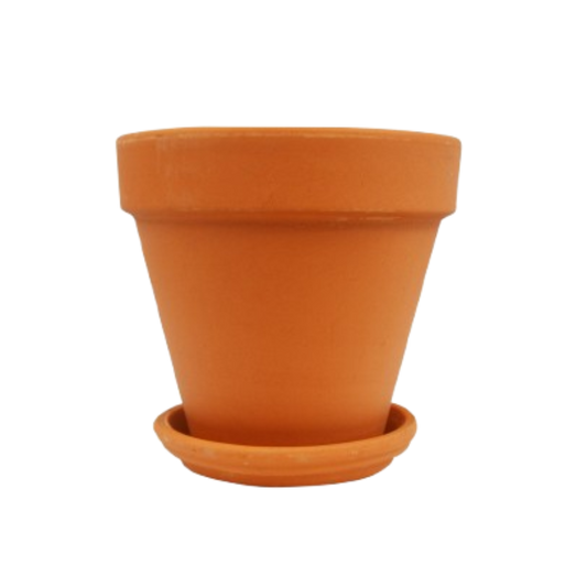 Terra Cotta Planters